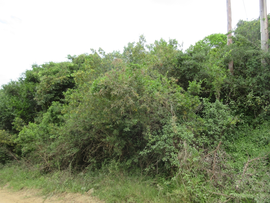 0 Bedroom Property for Sale in Bathurst Eastern Cape